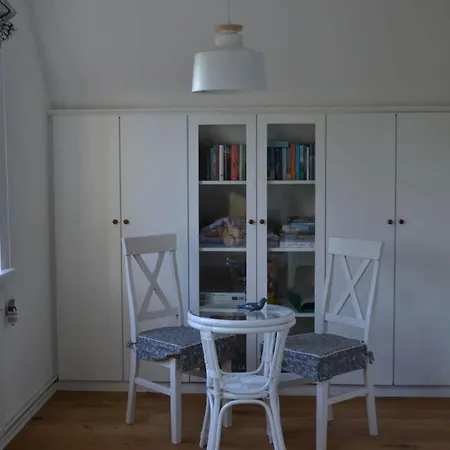 Gray Seal Midlum (Schleswig-Holstein)