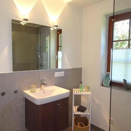 Gray Seal Midlum (Schleswig-Holstein)