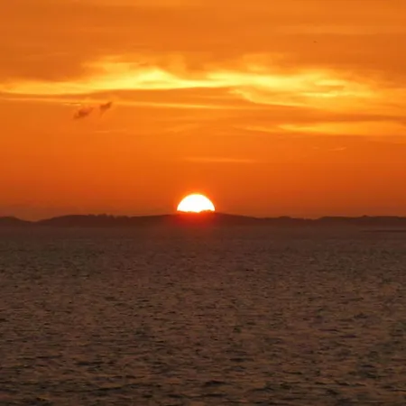 Gray Seal 아파트 Midlum (Schleswig-Holstein)