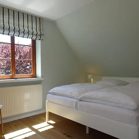 Gray Seal Midlum (Schleswig-Holstein)